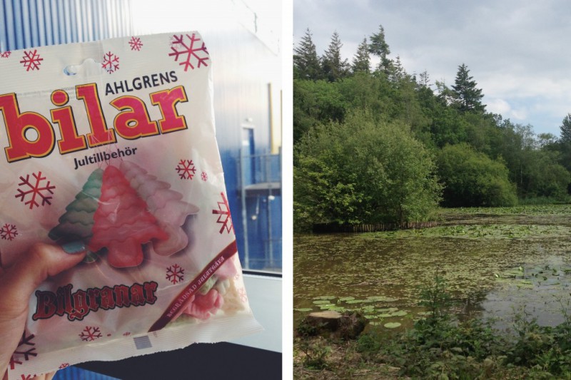 The Weekly Vlog 9 Blog